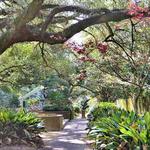 Hopelands Gardens