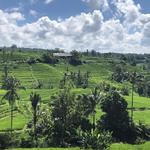 Ubud