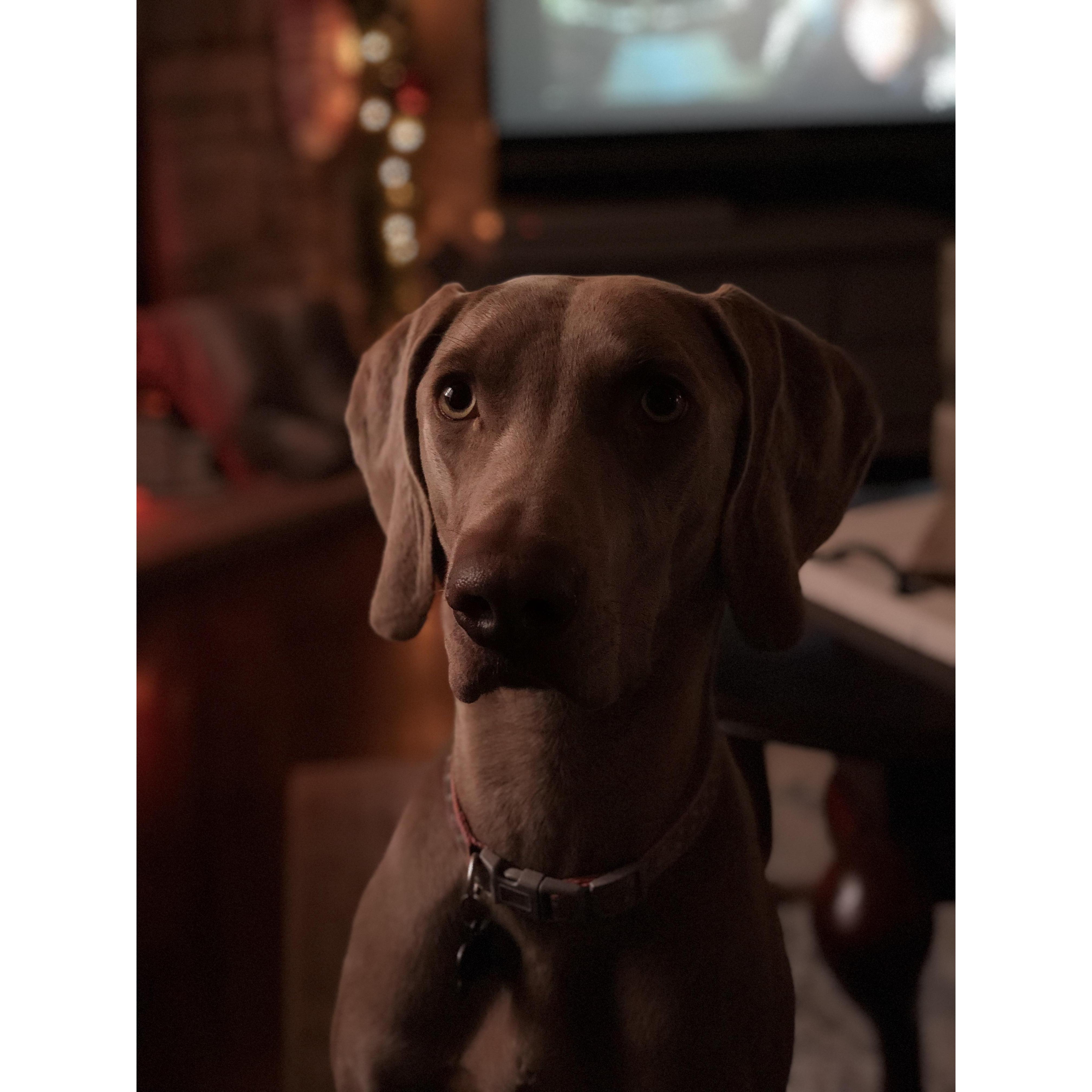 It wouldn’t be right to not include our childern!
Our first born, Sadie!