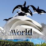 SeaWorld Orlando