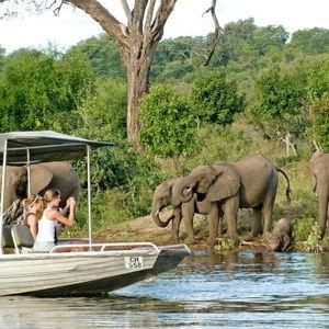 Day Trip on Safari