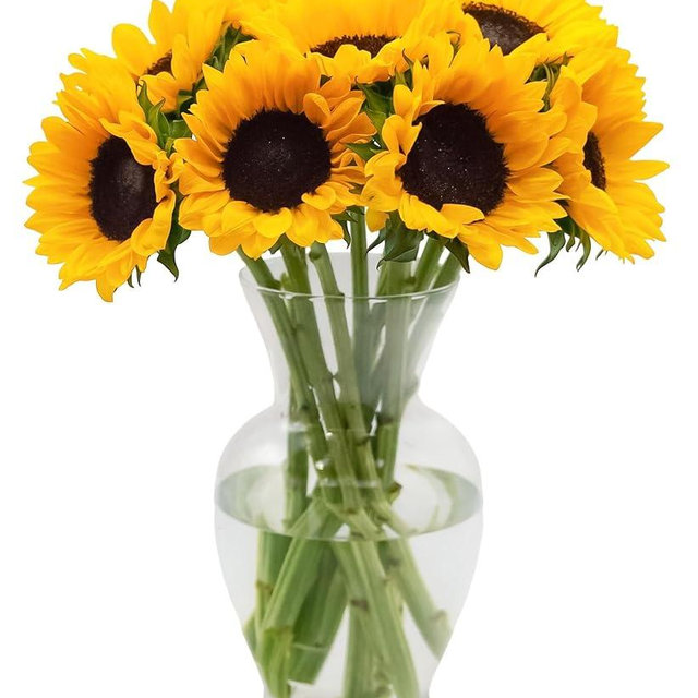 STARGAZER BARN 10 Stem Sunflower Bouquet (Vase Not Included) - Hand-Tied in the USA - Fresh Flower Delivery for Birthday, Anniversary, Sympathy, Home Decor, Wedding, Mother's Day
