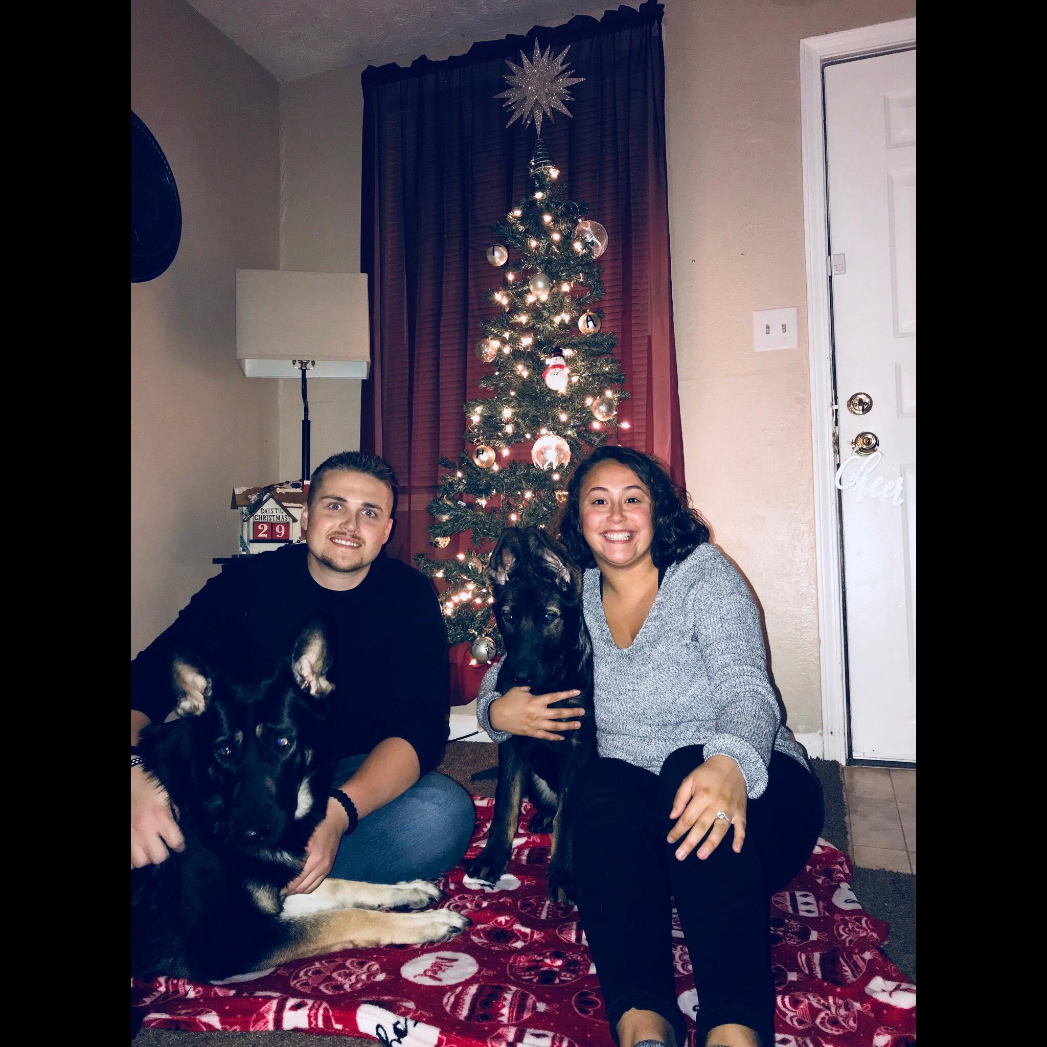 First Christmas in our own home, also we added a fur child