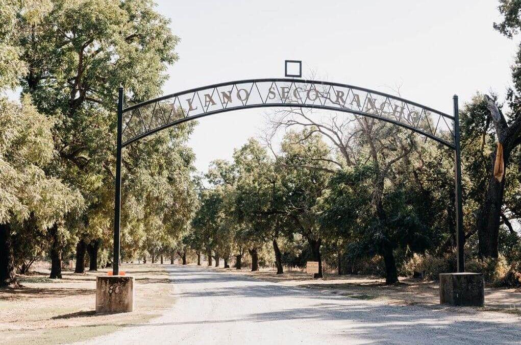 The Wedding Website of Heather McGowan and Clint Dubner