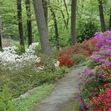Dowlin Forge Park