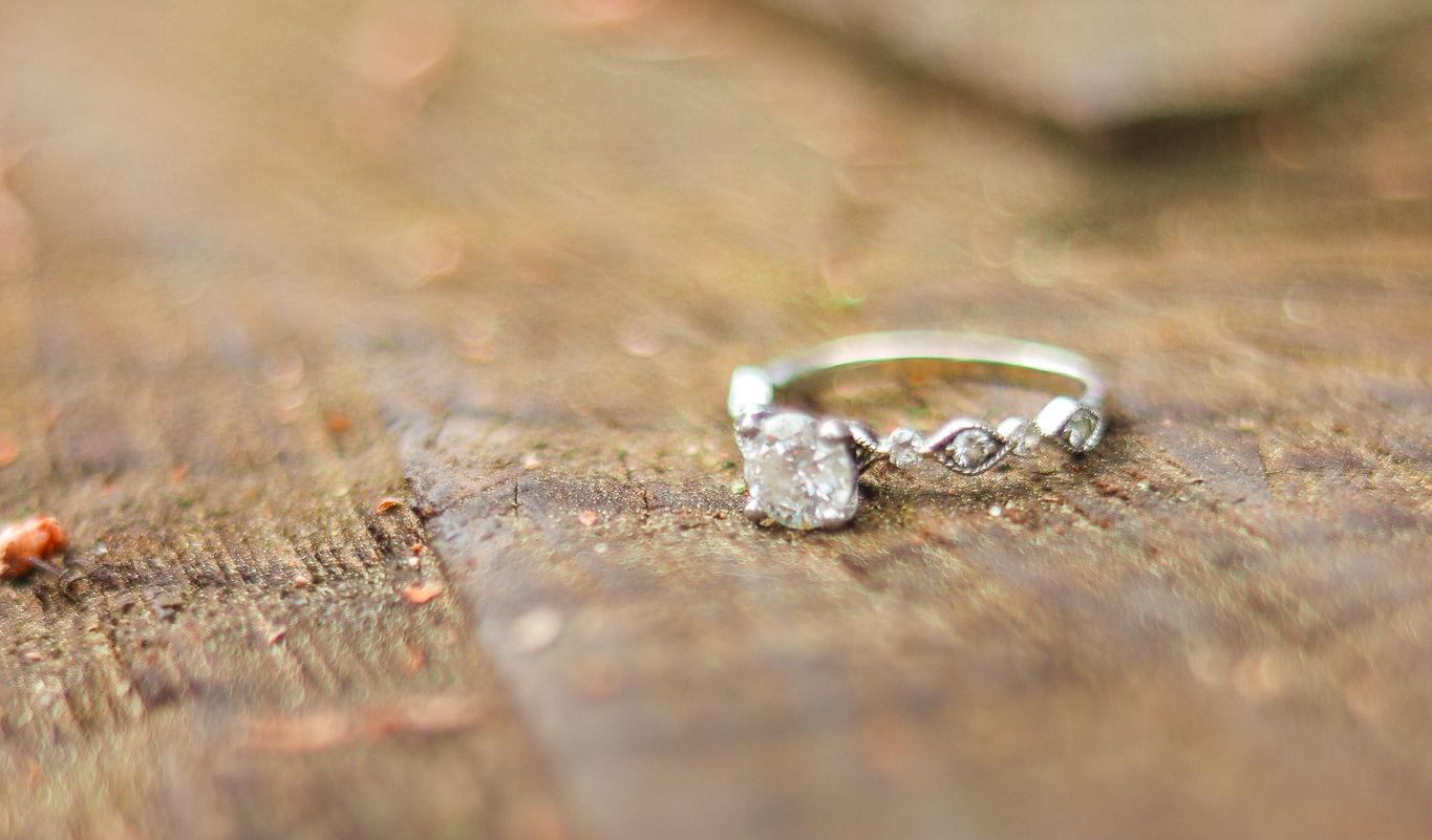 The Wedding Website of Bernadette Daries and Brianna Doherty