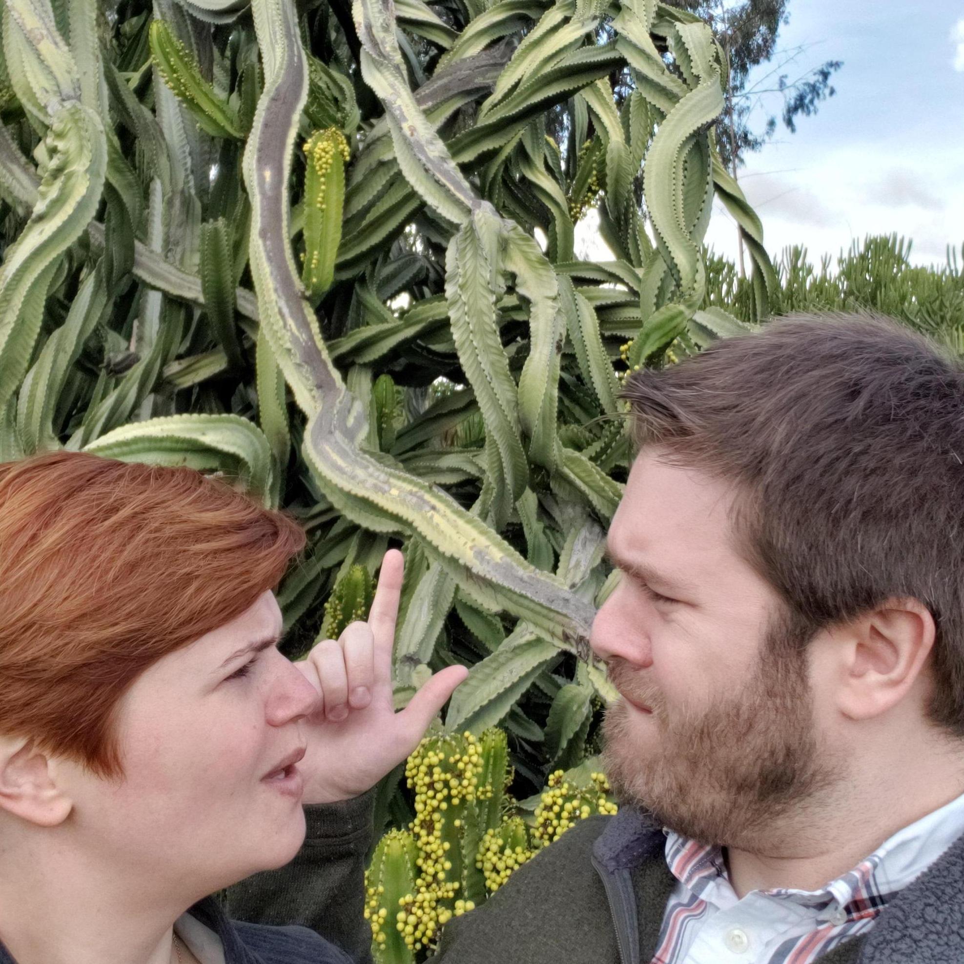 A perplexing cactus