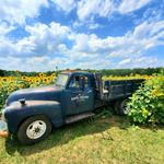Evans Orchard and Cider Mill