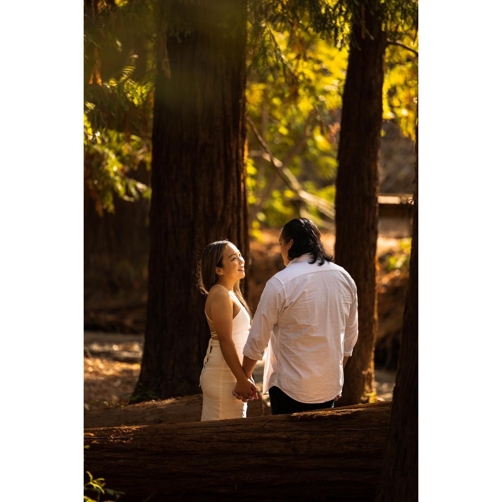 Engagement Photoshoot at Redwood Grove!