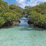 La Parguera (30 min drive from the hotel!)