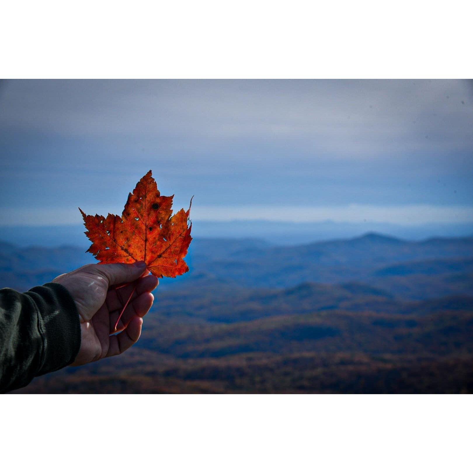 Rough Ridge (outside Blocking Rock) NC