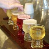 Cider Tasting