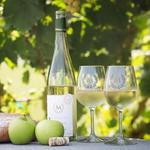 Morais Vineyards & Winery