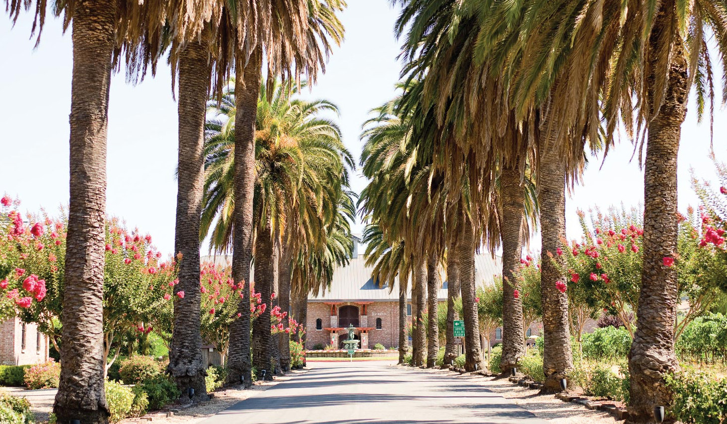 The Wedding Website of Sydney Mendoza and Matthew Benavidez