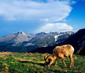 Rocky Mountain National Park