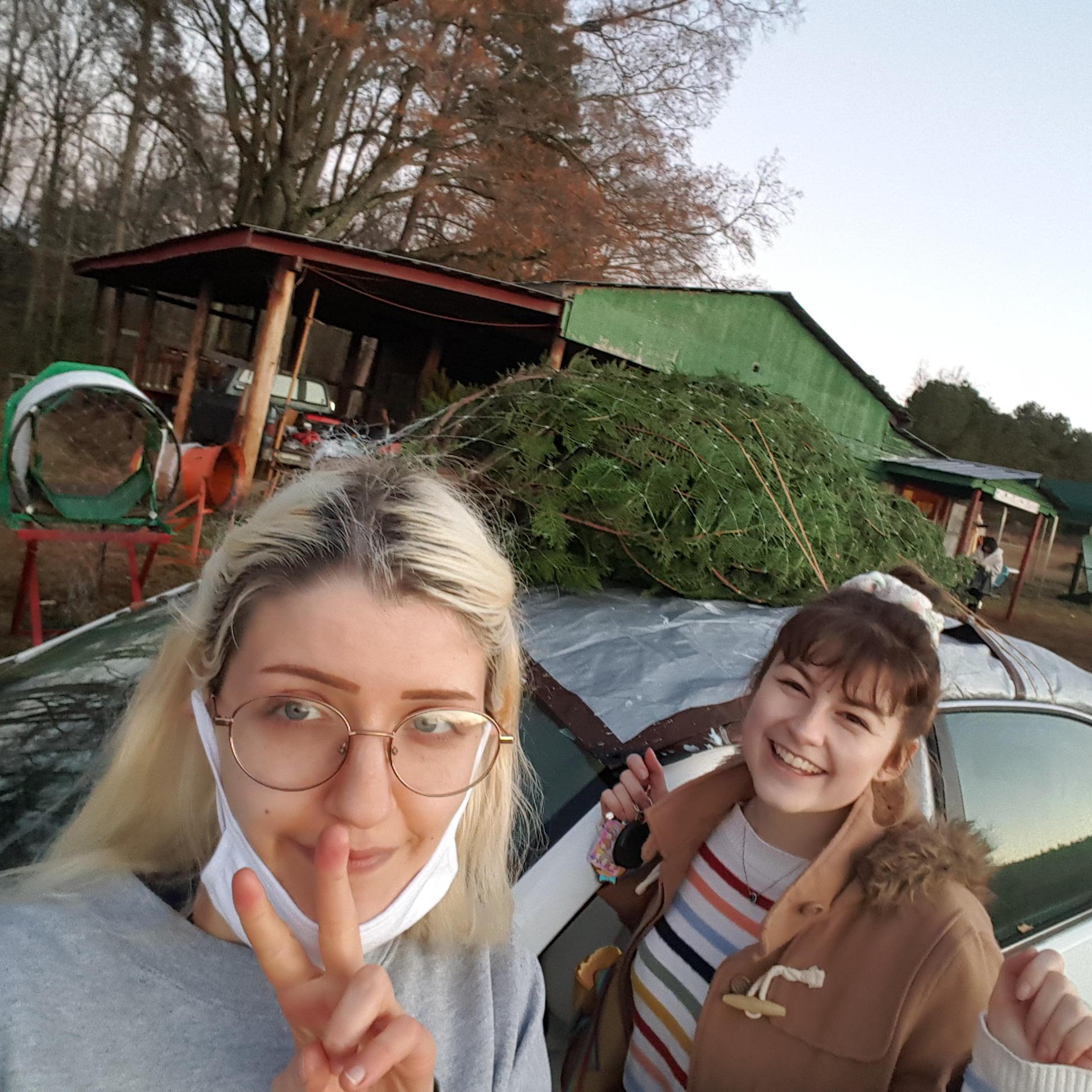 cut down our first Christmas tree!!