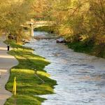 Cherry Creek Trail