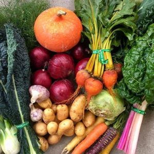Winter Farm Box Delivery