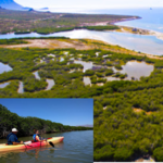 Estero del soldado