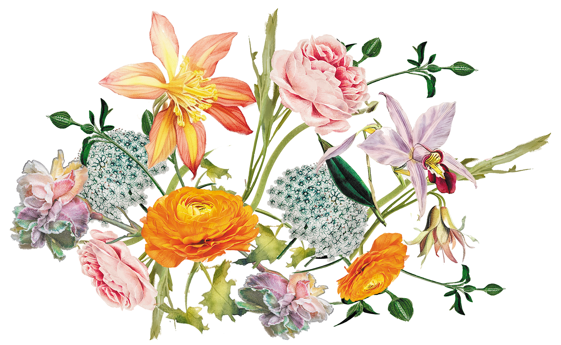 The Wedding Website of Arthur Lichtenberger and Lillian Wunsch