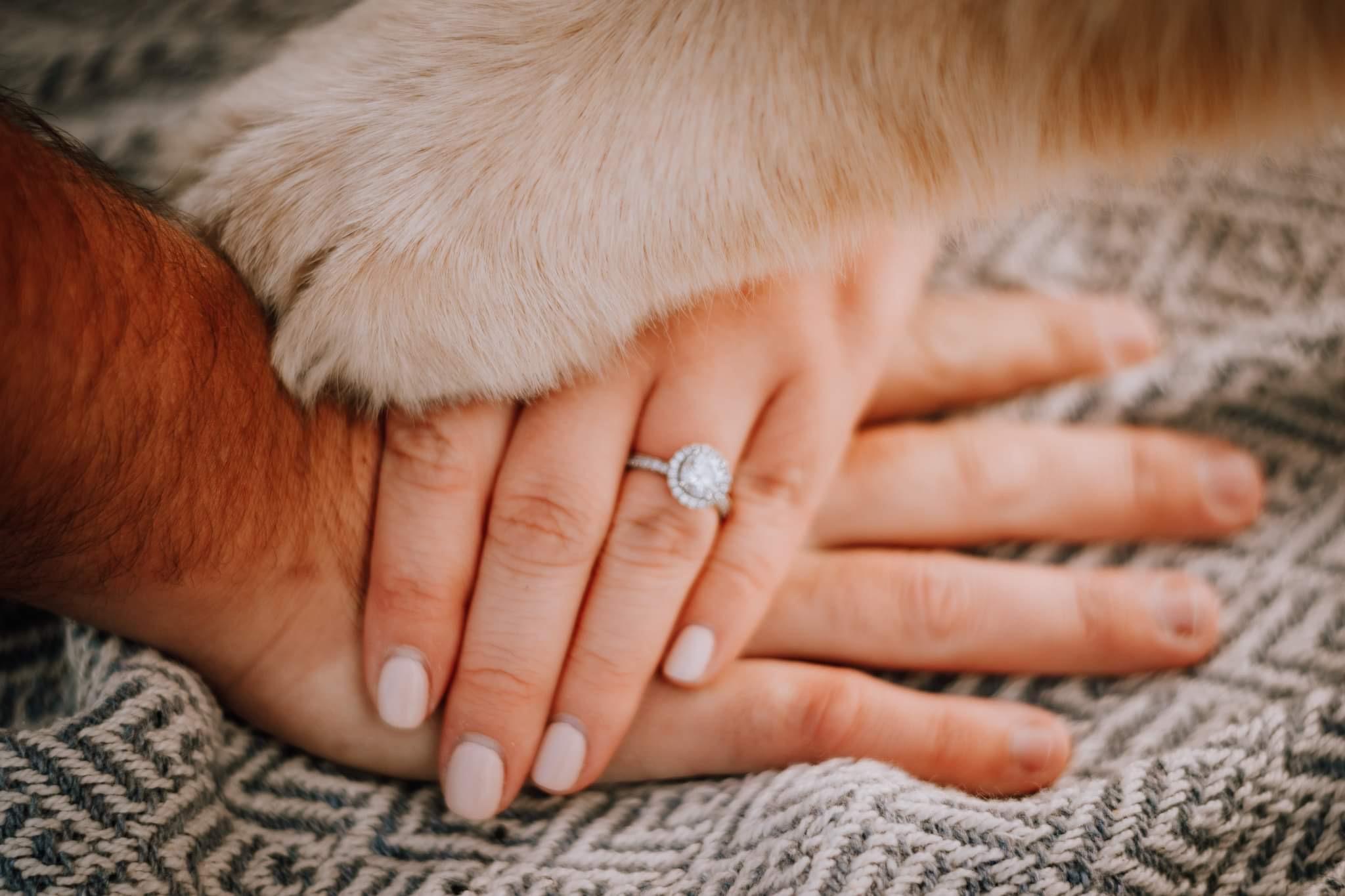 The Wedding Website of Laura Mitchell and Matt Therrien