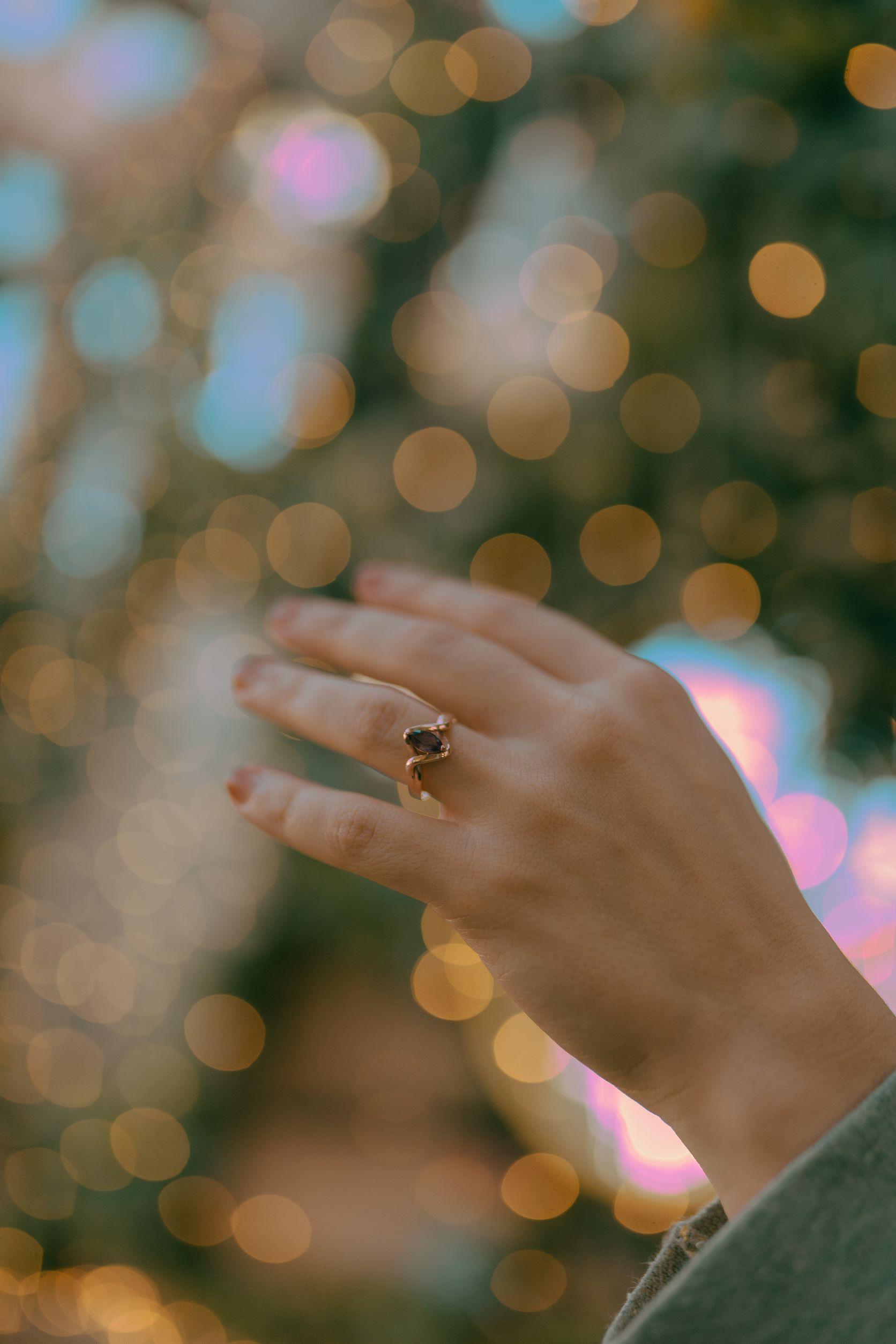The Wedding Website of Sky Bussanmas and Gavin Brown