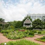 State Botanical Garden of Georgia