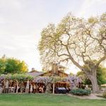 Roblar Winery and Vineyards - Santa Ynez Estate Tasting Room
