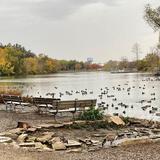 Wildlife Sanctuary