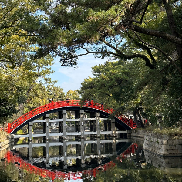 Honeymoon in Japan!