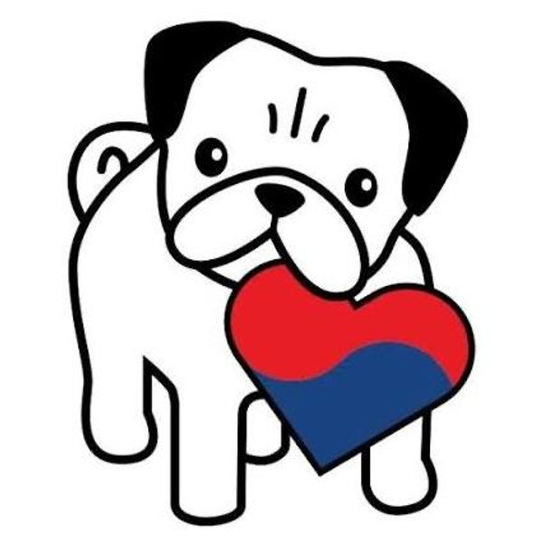 Donate to support a pug rescue