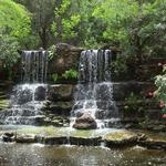 Zilker Botanical Garden