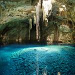 Xenotes