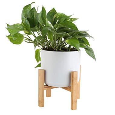 Costa Farms Devil's Ivy, Golden Pothos with 6.5-Inch Wide Mid-Century Modern Planter and Plant Stand Set, White, Fits on Tabletops, Counters