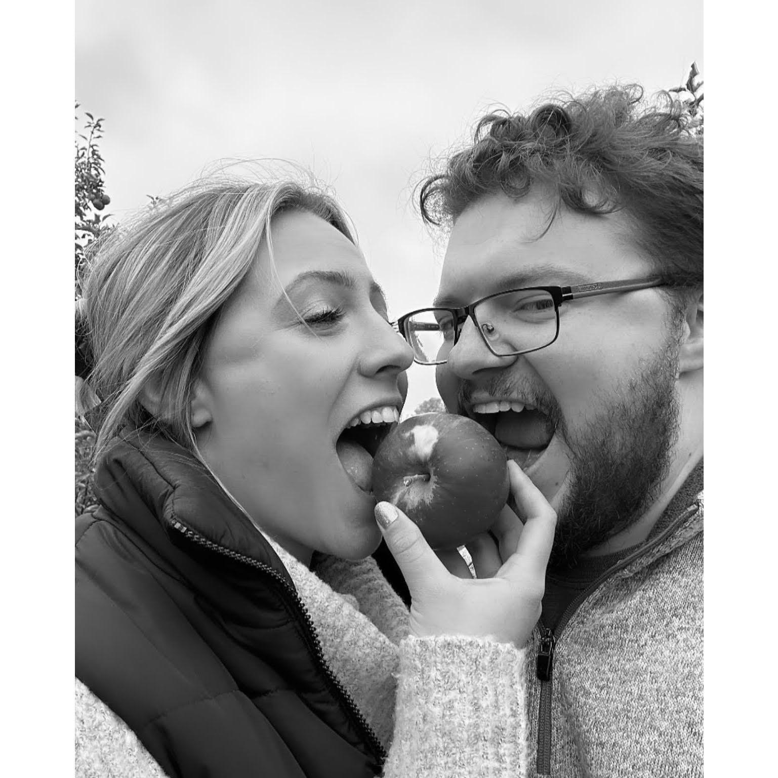 Apple Picking at Beak & Skiff.