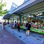 Bellingham Farmers Market