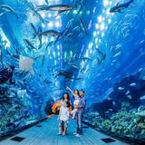 Atlanta Aquarium