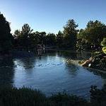 Japanese Friendship Garden of Phoenix