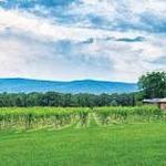 Mount Nittany Vineyard and Winery