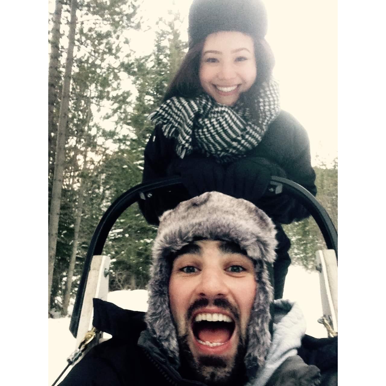 Dog sledding in Calgary, right before Mia faceplanted in the snow