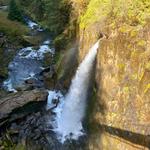 Drift Creek Falls Trail 1378 (Trail Head)