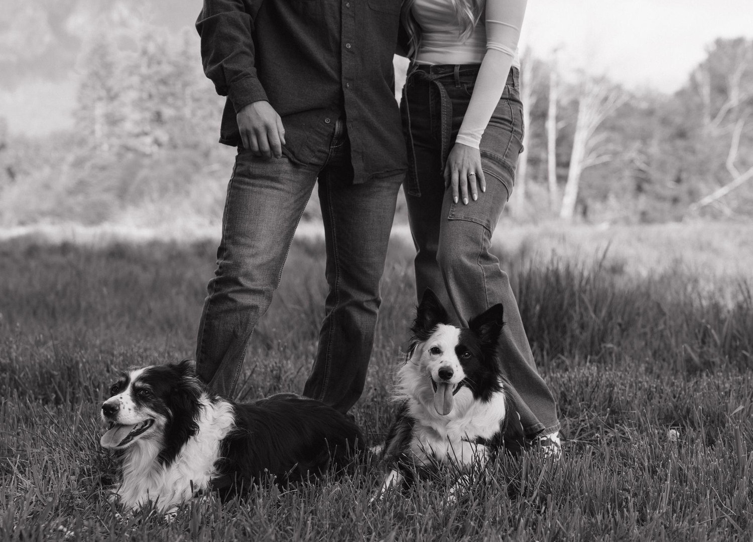 The Wedding Website of Sophie Whitsett and Nick Smoody