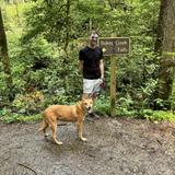 Dukes Creek Falls