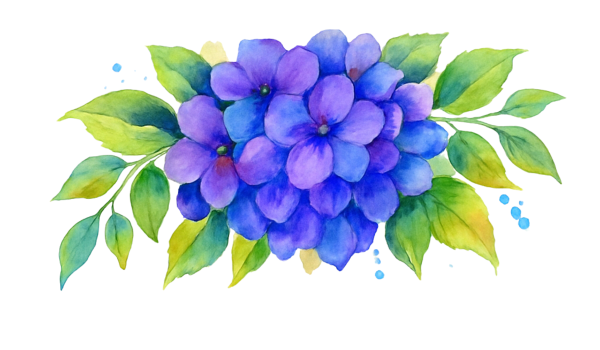 Hero Image