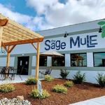 The Sage Mule