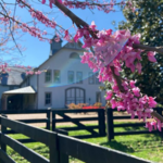 Belle Meade Historic Site & Winery