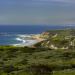 Go for a Hike