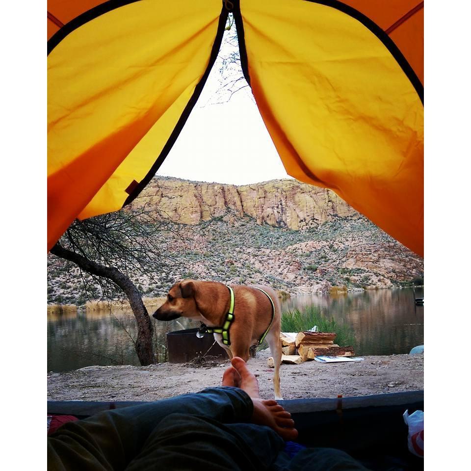 Camping adventure