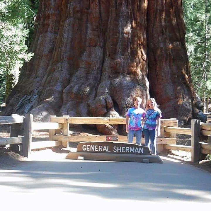 Sequoia National Park 2015.