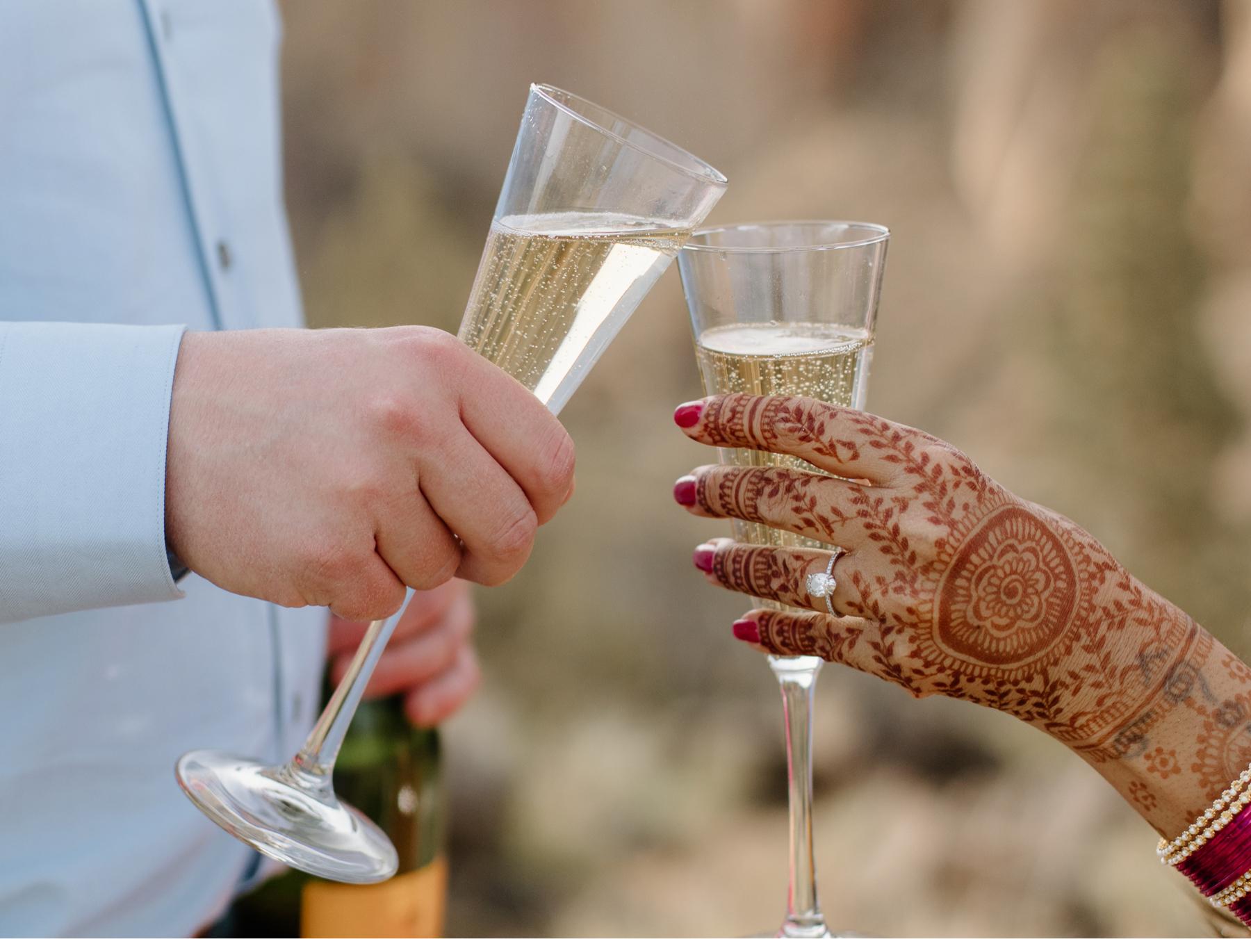 The Wedding Website of Tripti Yadav and Joe O'Connell